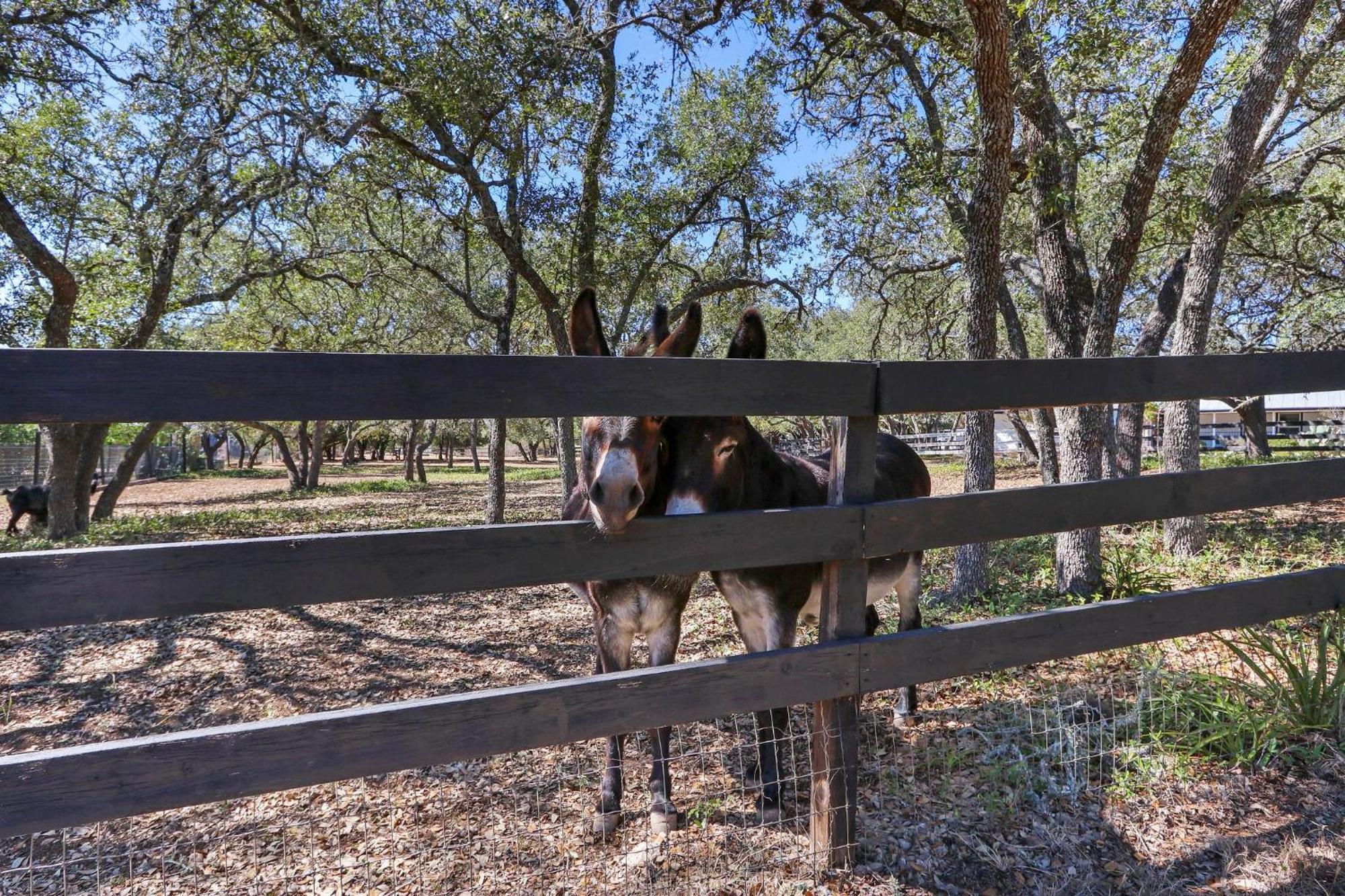 Red Donkey Cottage Wimberley Eksteriør bilde