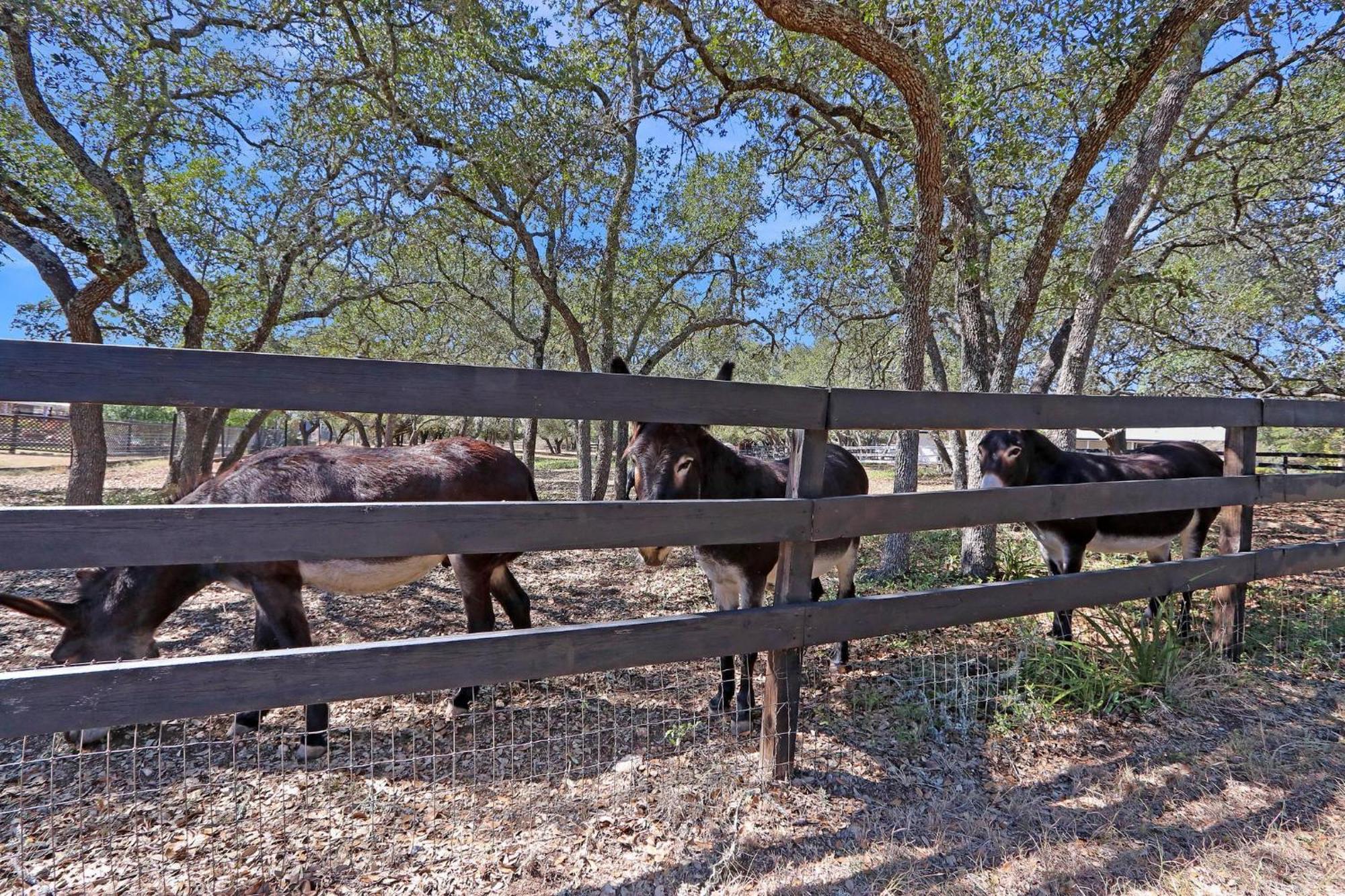 Red Donkey Cottage Wimberley Eksteriør bilde